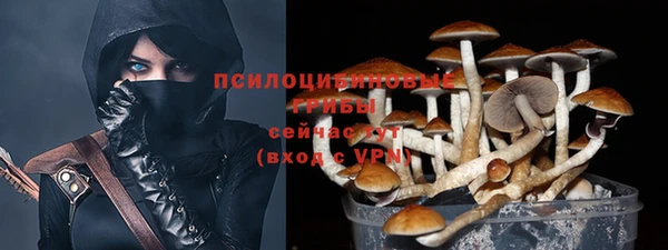 ECSTASY Белоозёрский