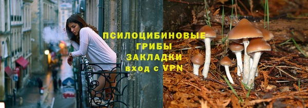 ECSTASY Белоозёрский