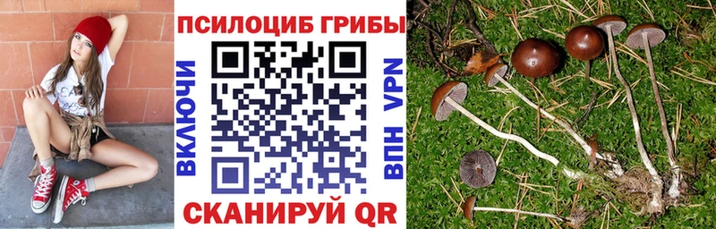 даркнет телеграм  Кубинка  Галлюциногенные грибы Psilocybine cubensis 
